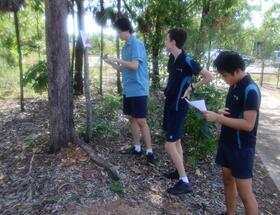 Orienteering Lesson